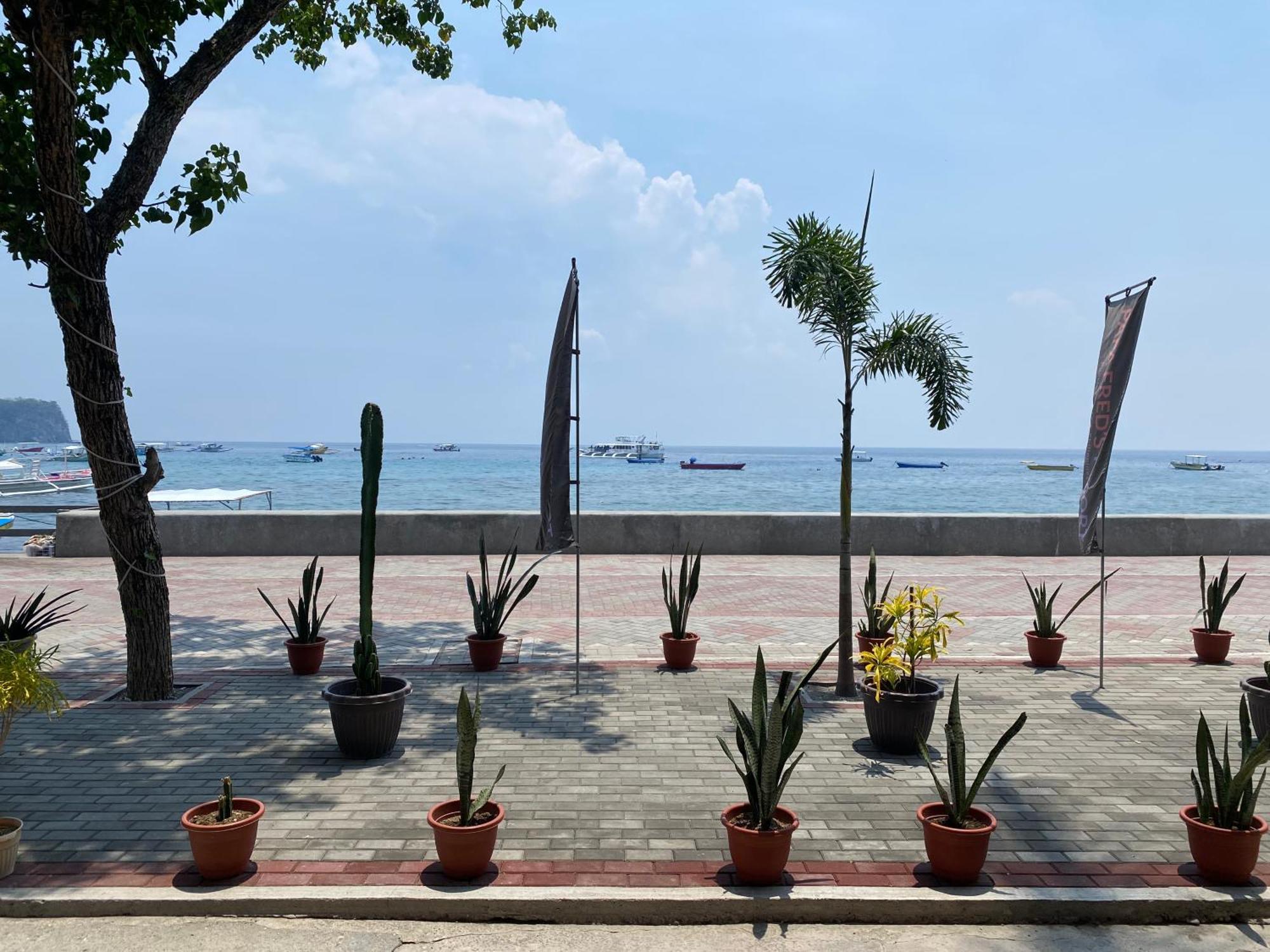 Papa Freds Beach Resort Puerto Galera Eksteriør bilde