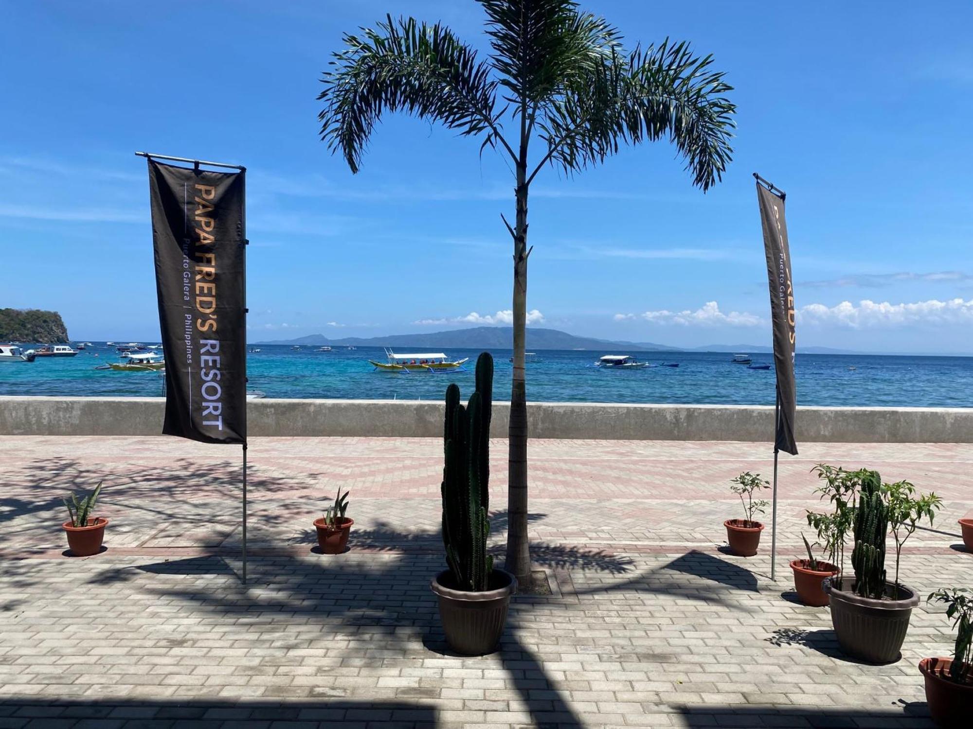 Papa Freds Beach Resort Puerto Galera Eksteriør bilde